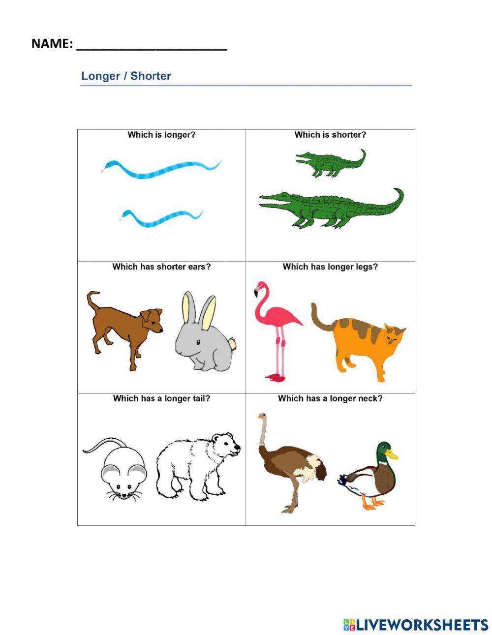 Measurement by length week 13