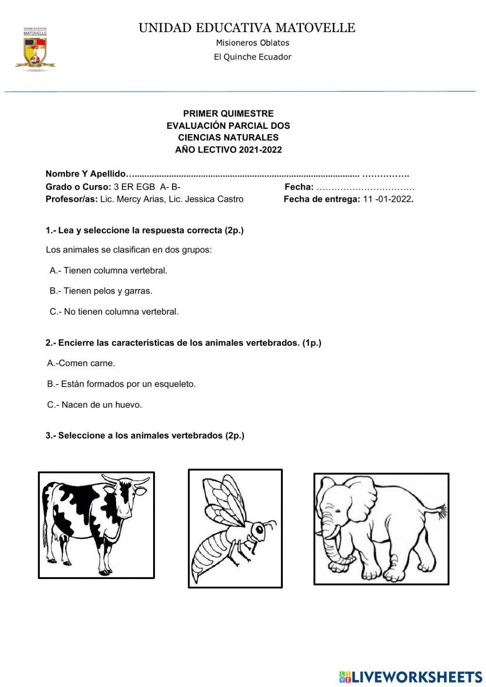 Evaluación segunda unidad