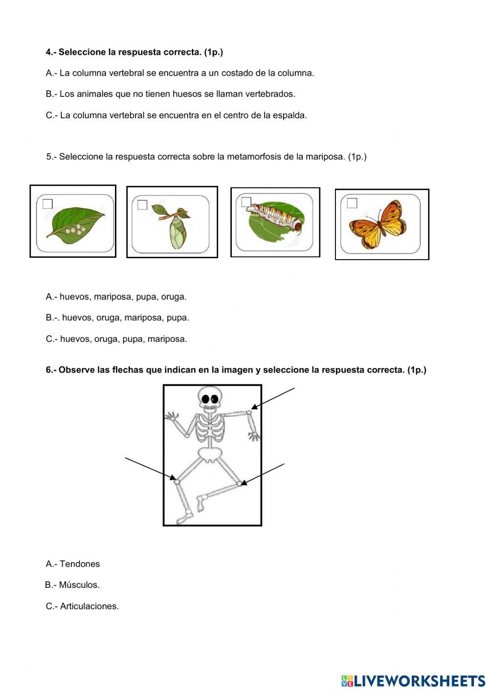 Evaluación segunda unidad