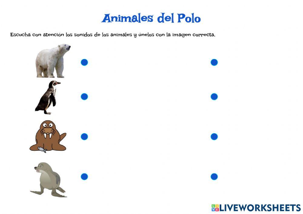 Animales del Polo