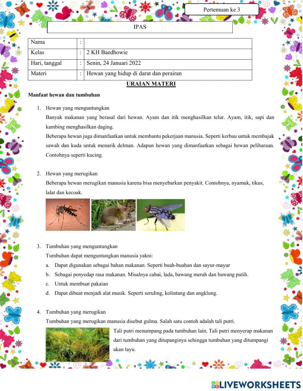 Tempat hidup hewan dan tumbuhan