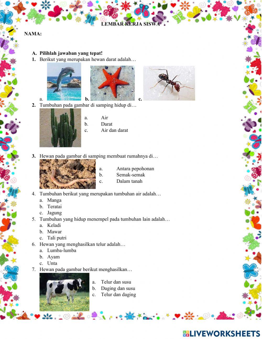 Tempat hidup hewan dan tumbuhan