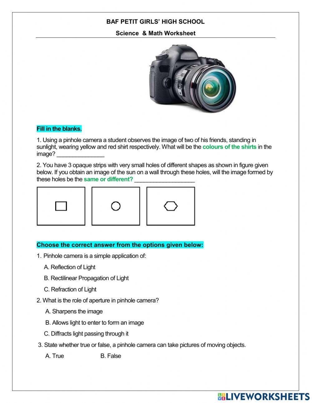 Math and Science Worksheet worksheet | Live Worksheets
