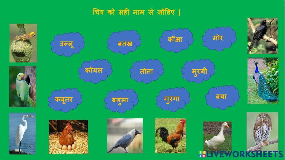 पक्षियों के नाम