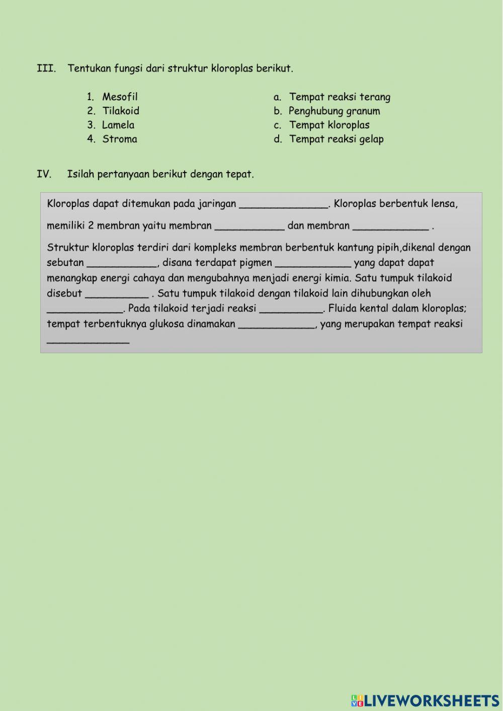 LKPD Anabolisme… | Free Interactive Worksheets | 1820952, image size:1000x1413