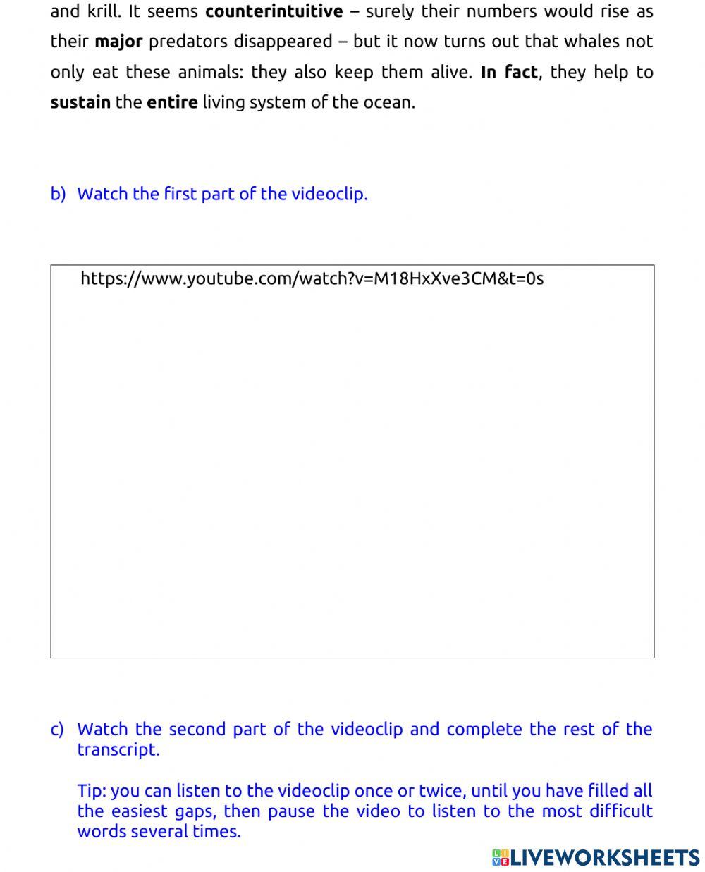 How whales change climate
