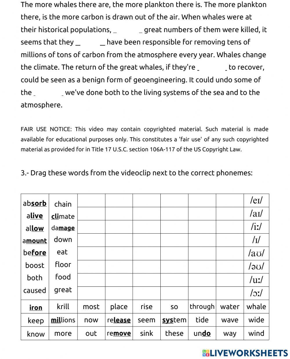 How whales change climate