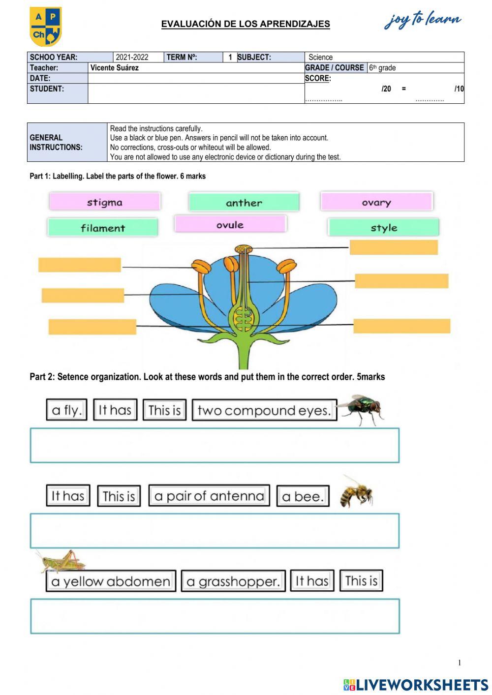 SCHOO YEAR:	2021-2022	TERM Nº:	   1	SUBJECT:	  Science  Teacher:	Vicente Suárez 	GRADE - COURSE	 6th grade DATE:		SCORE: STUDENT:		 ……………..	-20	-	 ………….