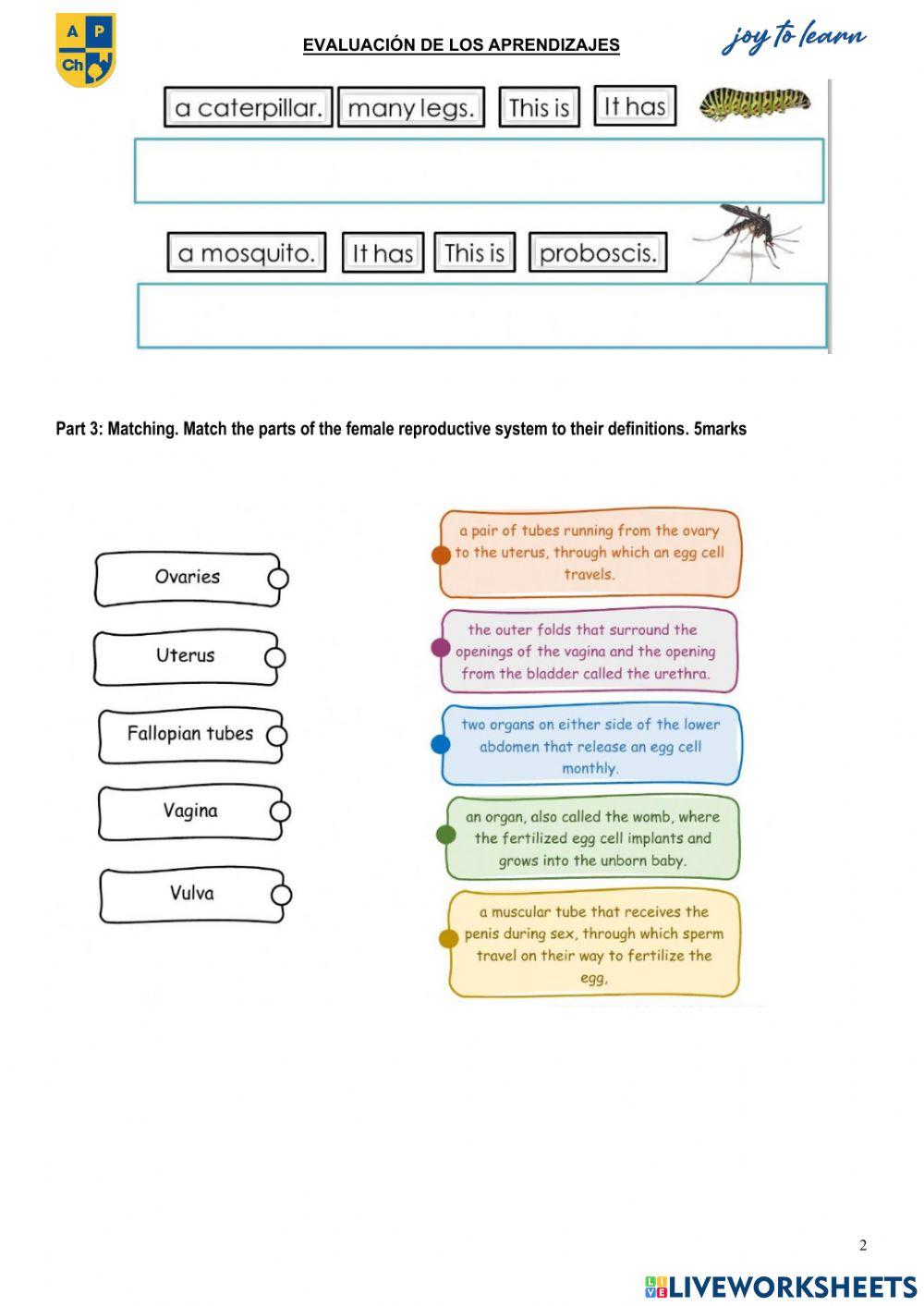 SCHOO YEAR:	2021-2022	TERM Nº:	   1	SUBJECT:	  Science  Teacher:	Vicente Suárez 	GRADE - COURSE	 6th grade DATE:		SCORE: STUDENT:		 ……………..	-20	-	 ………….