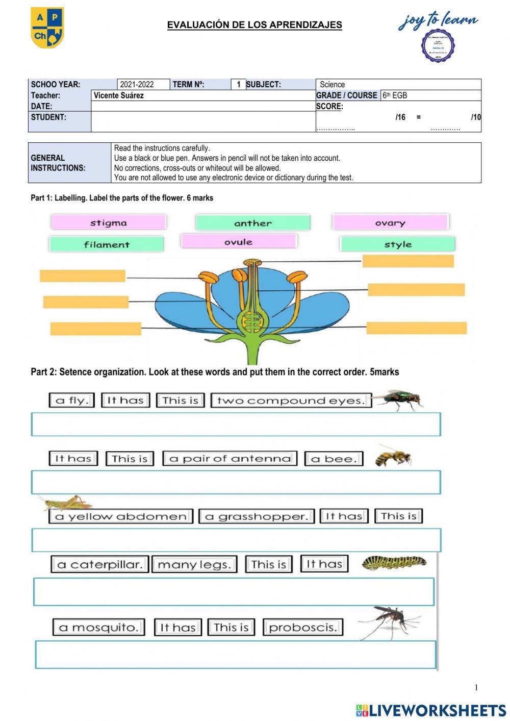 SCHOO YEAR:	2021-2022	TERM Nº:	   1	SUBJECT:	  Science  Teacher:	Vicente Suárez 	GRADE - COURSE	 6th grade DATE:		SCORE: STUDENT:		 ……………..	-20	-	 ………….