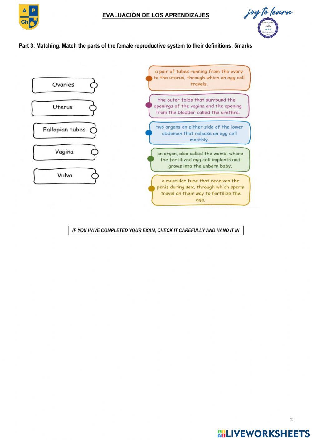 SCHOO YEAR:	2021-2022	TERM Nº:	   1	SUBJECT:	  Science  Teacher:	Vicente Suárez 	GRADE - COURSE	 6th grade DATE:		SCORE: STUDENT:		 ……………..	-20	-	 ………….