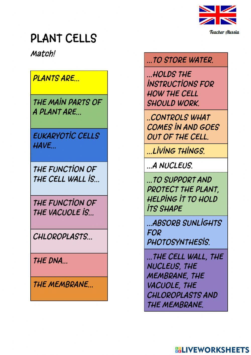 Plant cells
