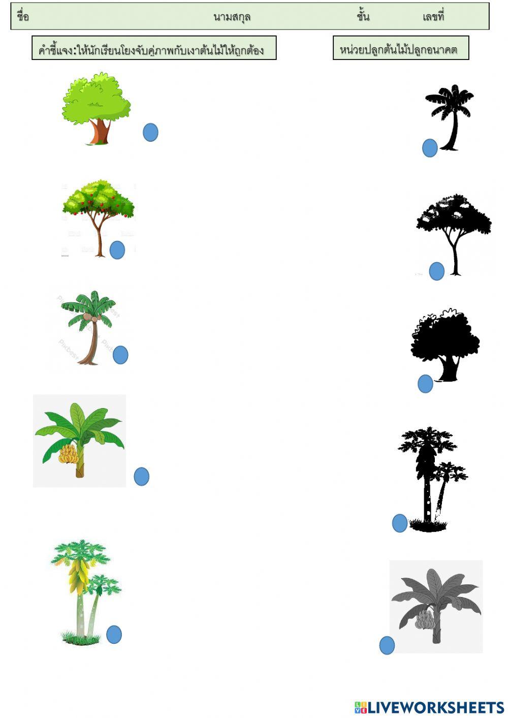 เกมจับคู่