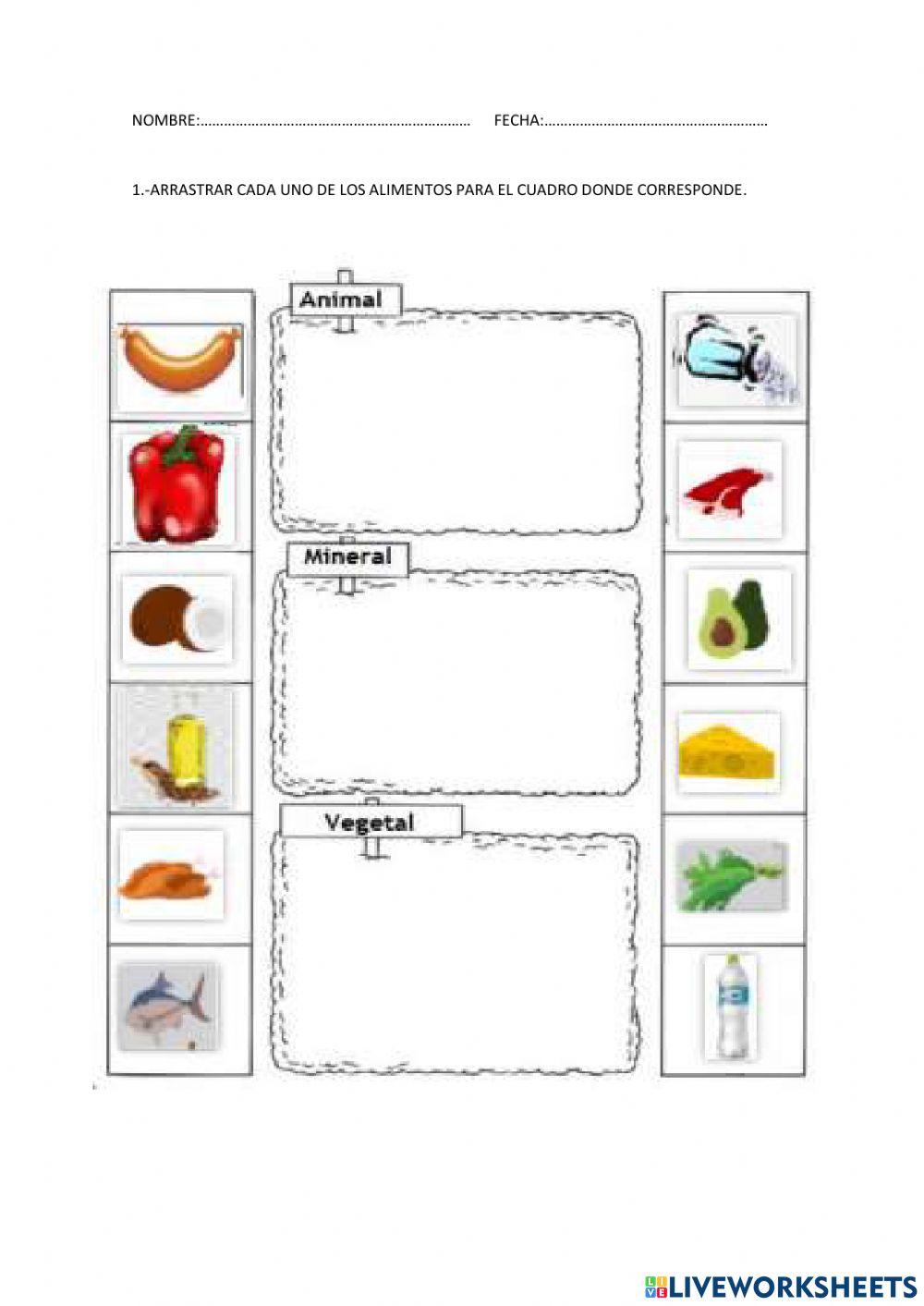 ORIGEN DE LOS ALIMENTOS.