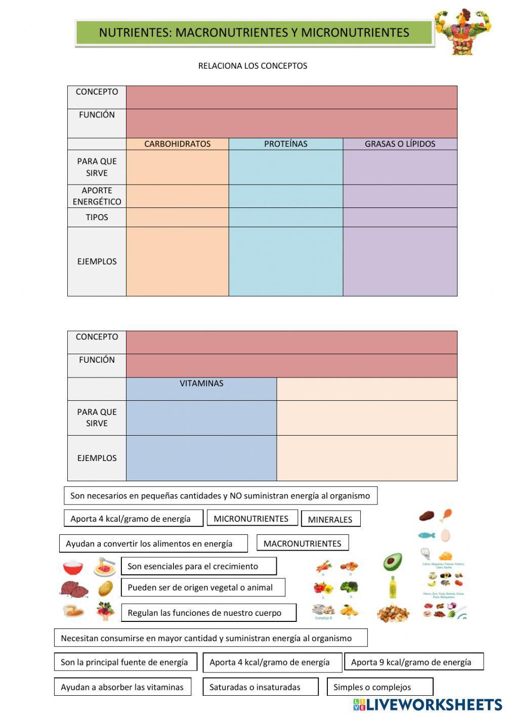 Nutrientes: macronutrientes y micronutrientes