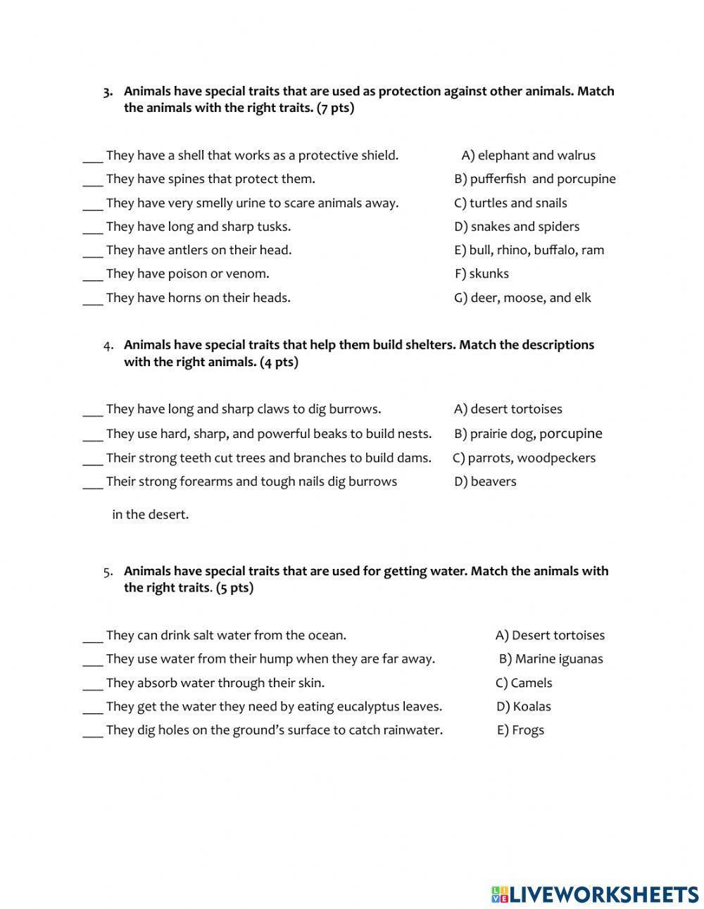 Animal Adaptation Quiz