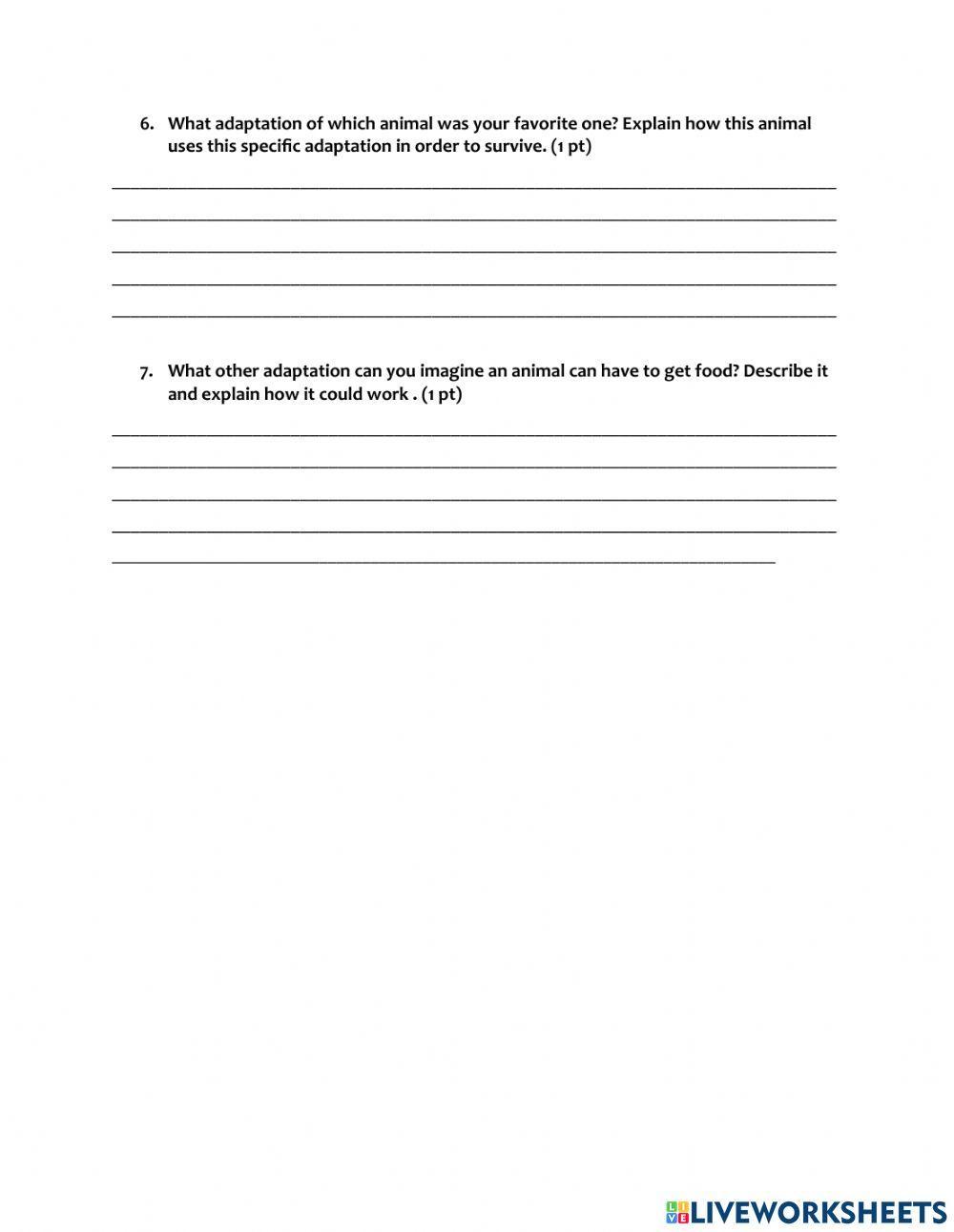 Animal Adaptation Quiz