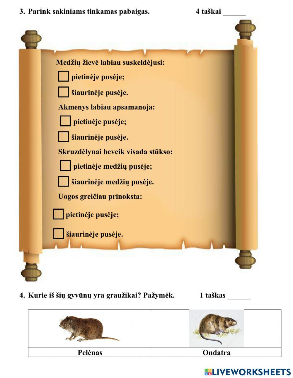 Pasaulio pažinimo testas Nr.5