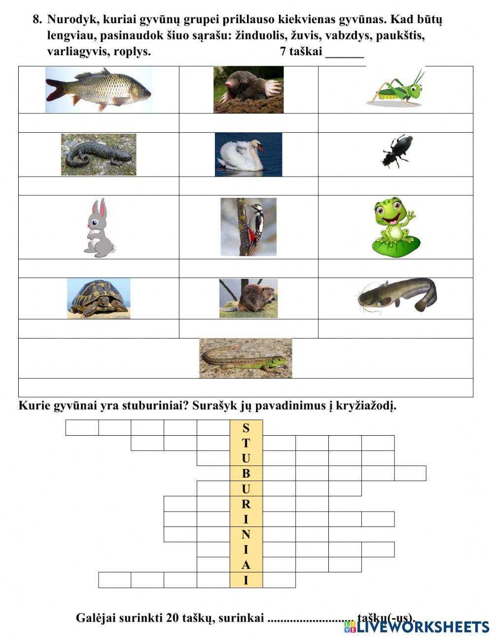 Pasaulio pažinimo testas Nr.5