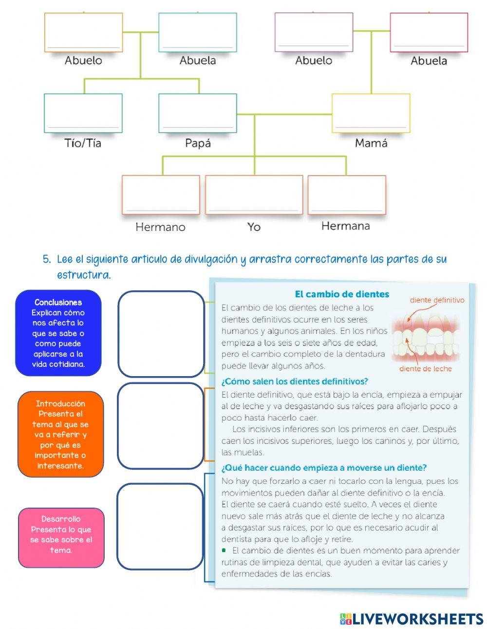 Examen Español 2° Parcial