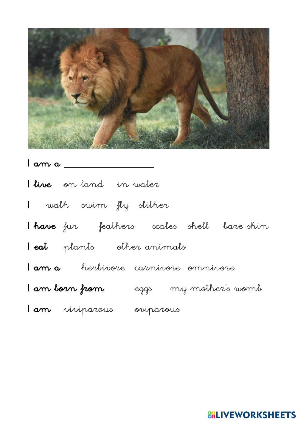 Lion's file