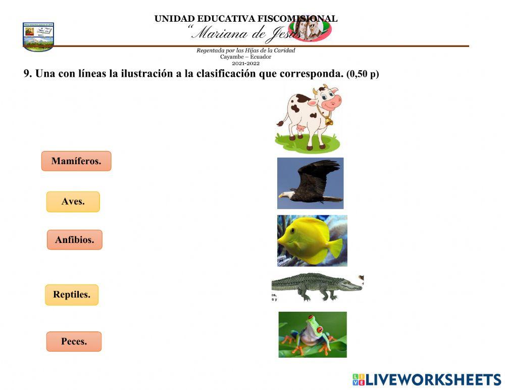 Evaluación Quimestral de Ciencias Naturales Sexto A