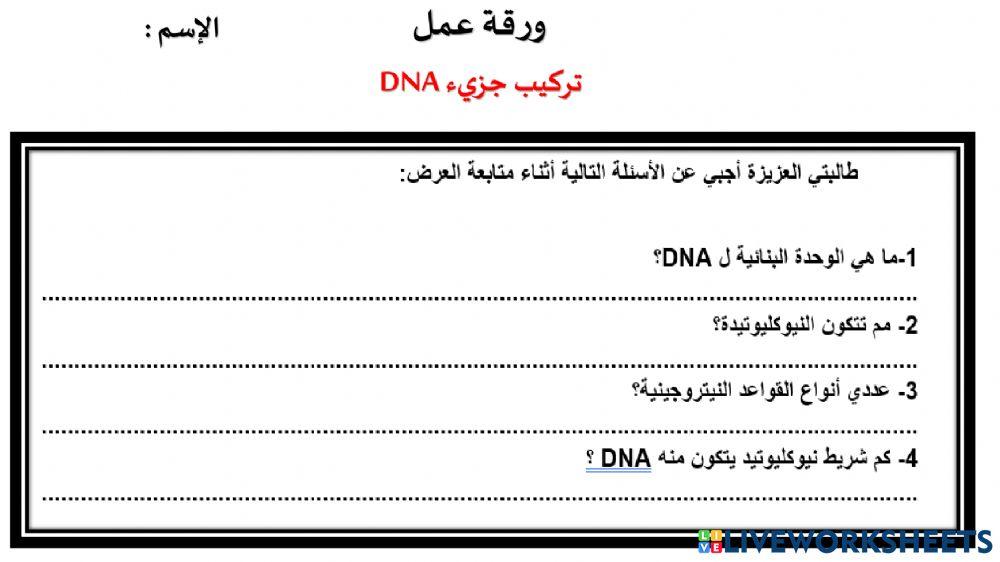 تركيب حمض dna