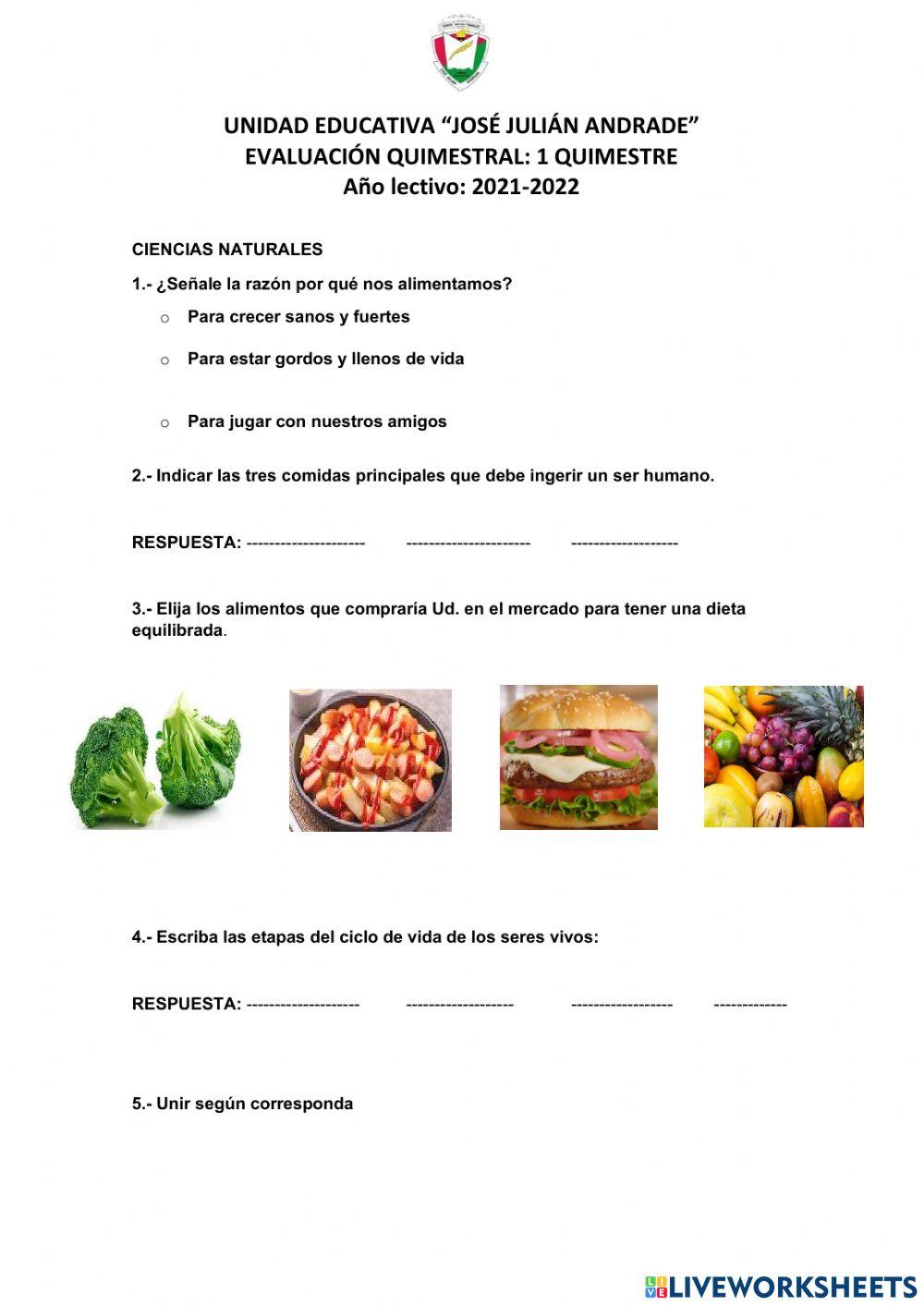 Reflexion de ciencias naturales