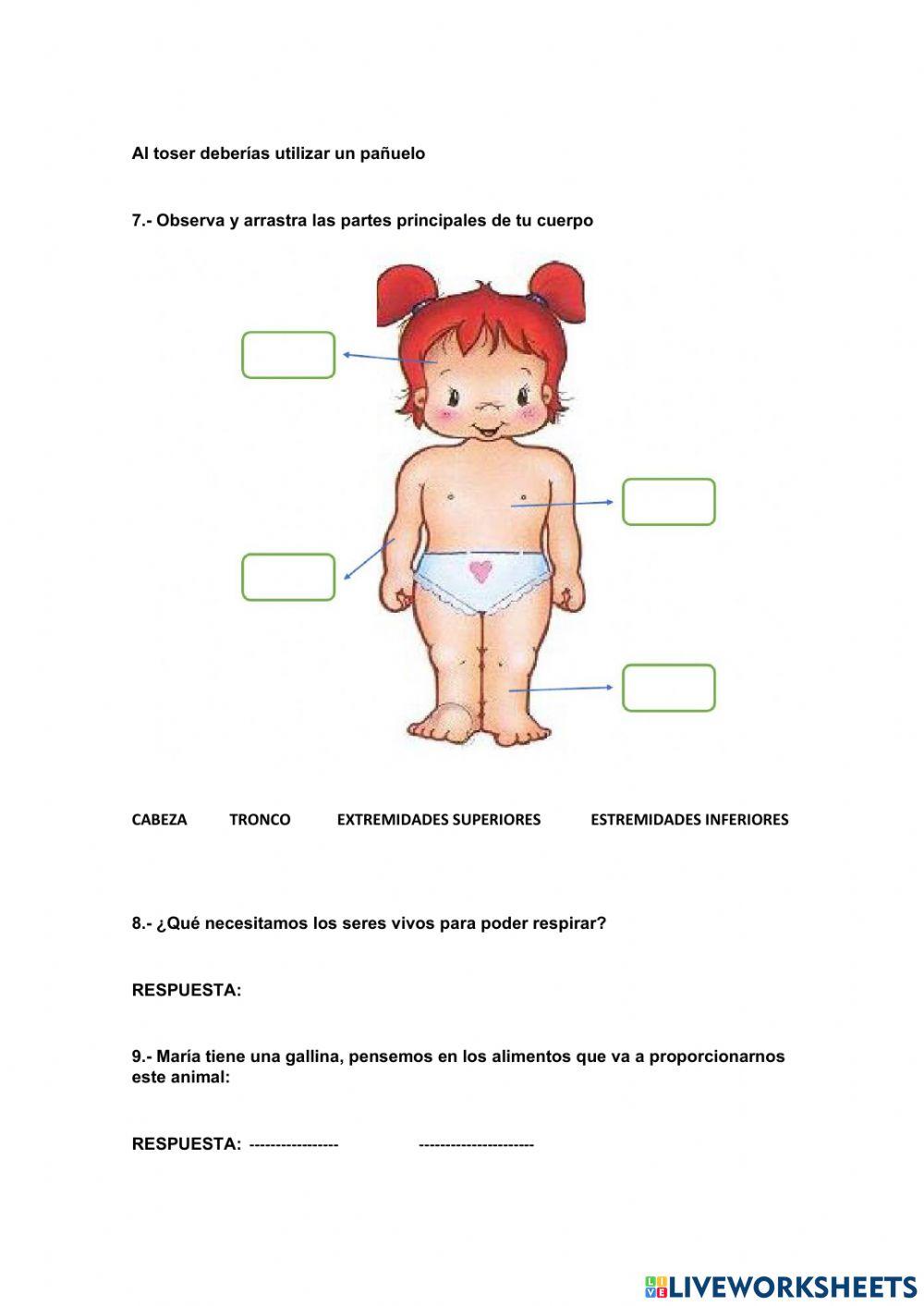 Reflexion de ciencias naturales
