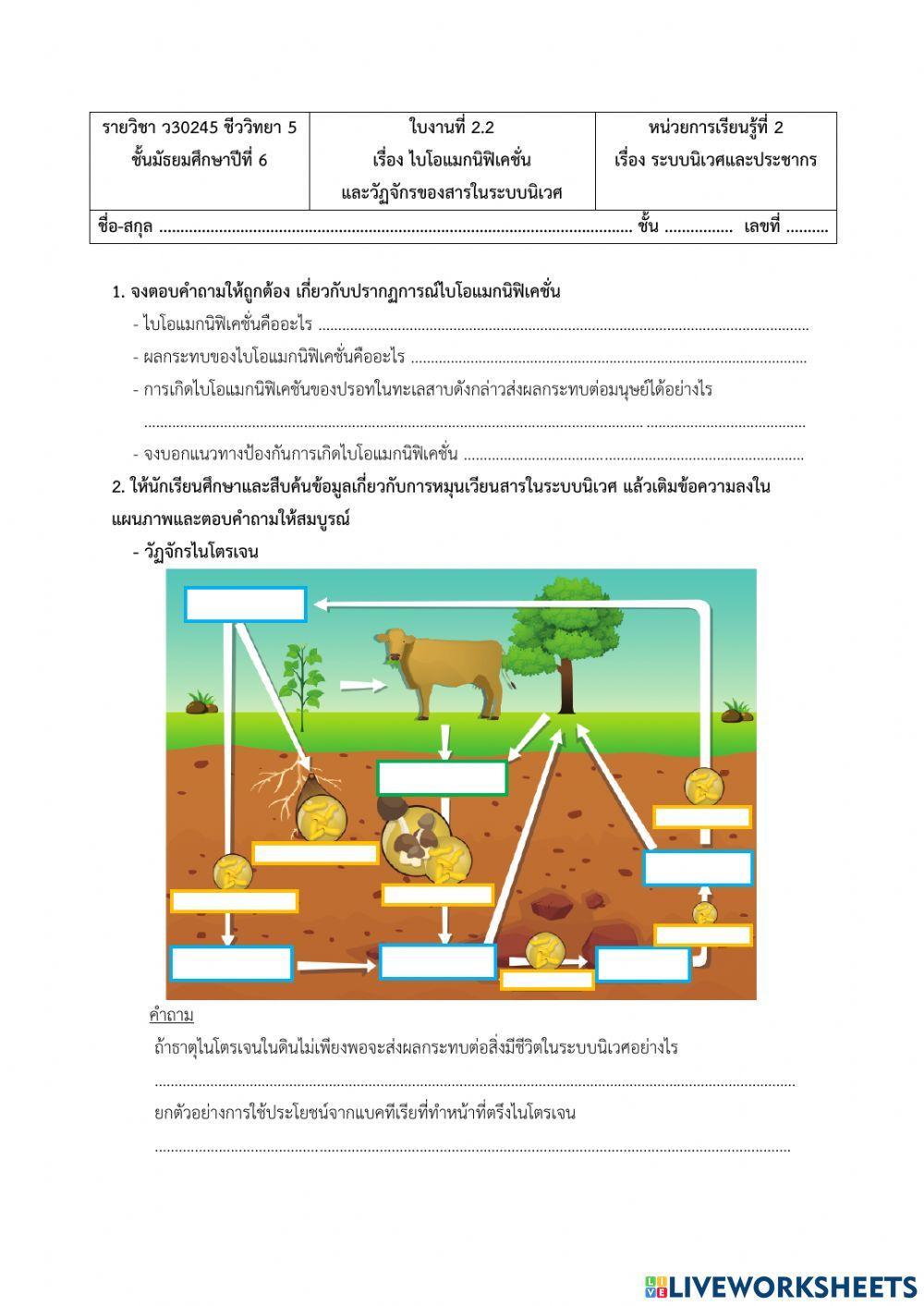 ใบงานที่ 2.2 ไบโอแมกนิฟิเคชั่นและวัฏจักรของสารในระบบนิเวศ