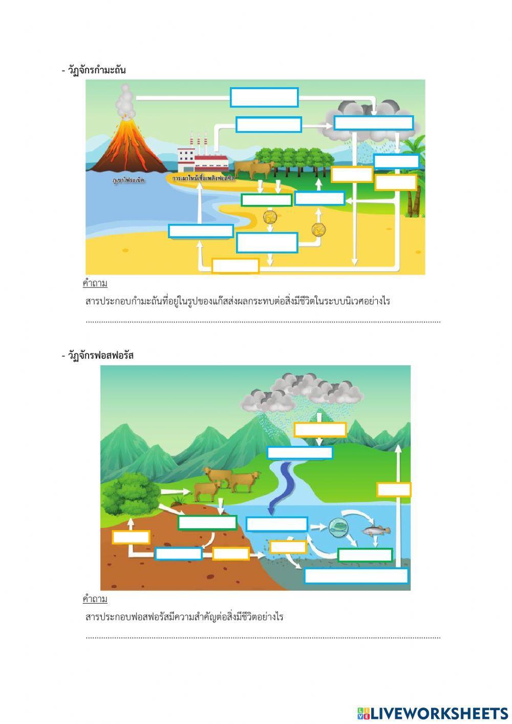ใบงานที่ 2.2 ไบโอแมกนิฟิเคชั่นและวัฏจักรของสารในระบบนิเวศ
