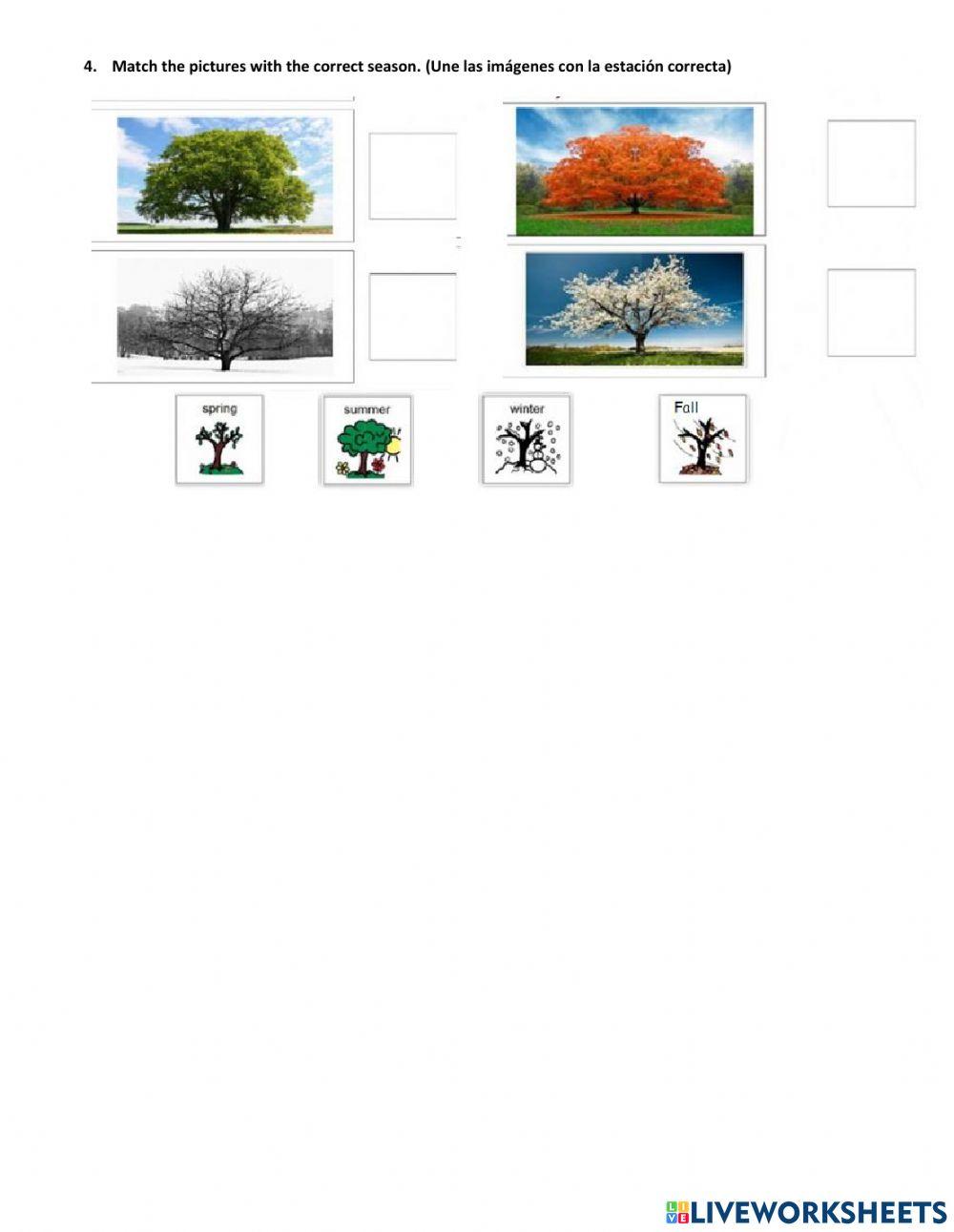 Test 5 3K online exercise for Live Worksheets Test 5 3K online exercise for Live Worksheets