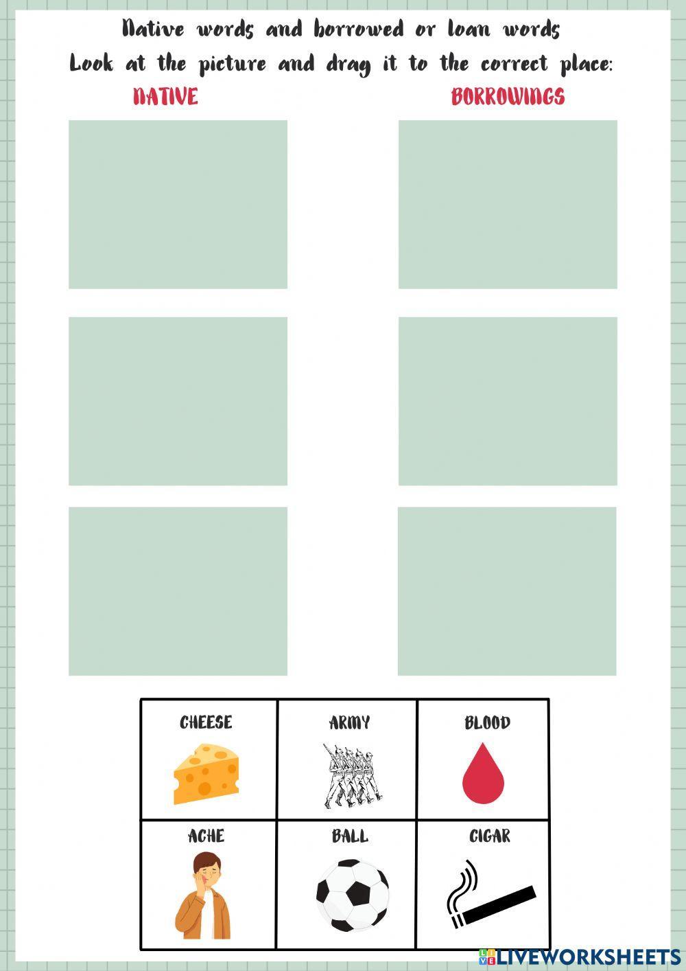 Native words and borrowed or loan words