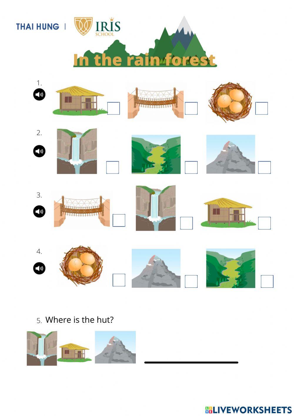 In the rain forest ODI 4