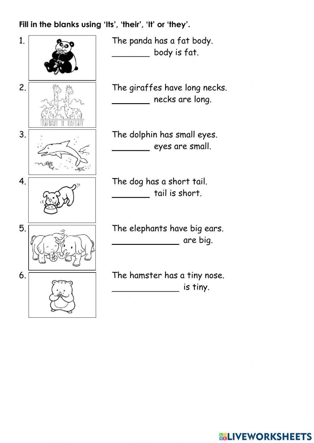 Possessive adjectives
