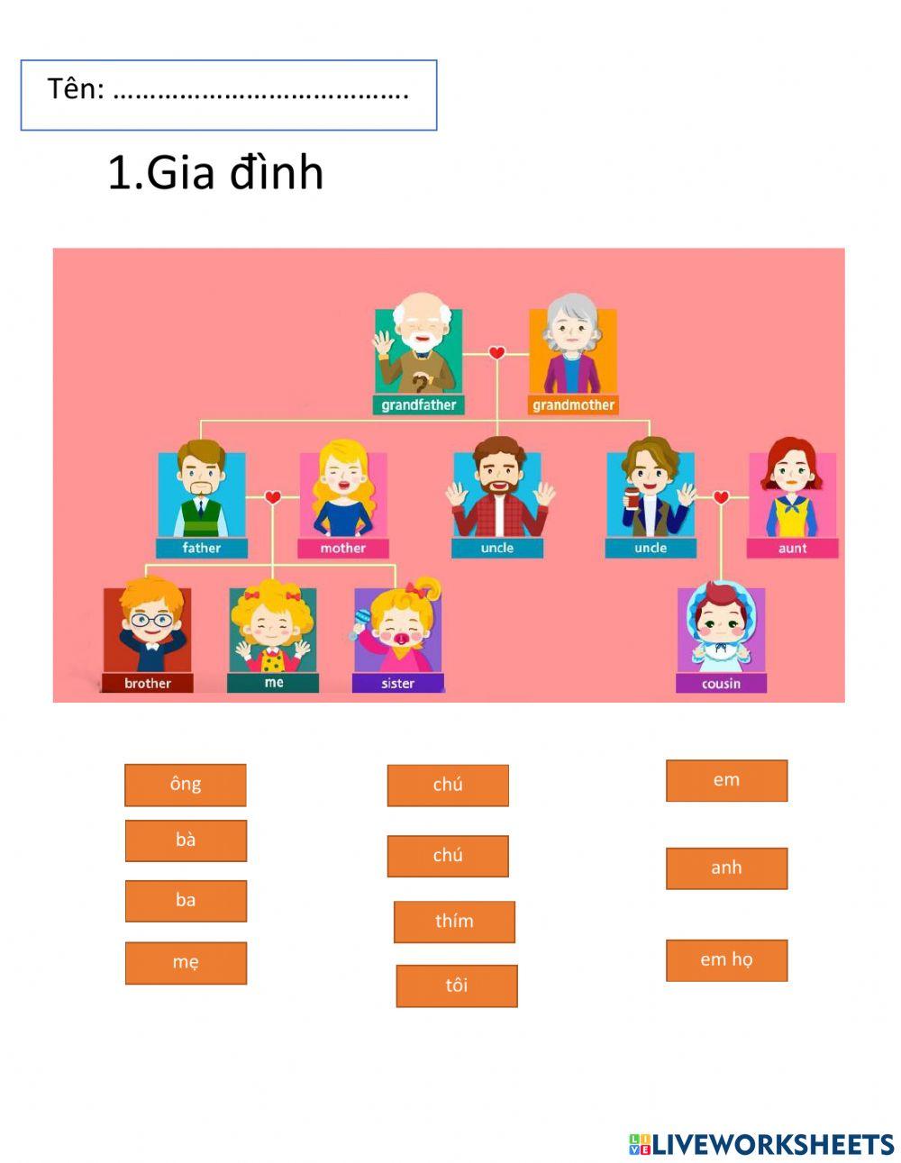 Học về gia đình và việc nhà