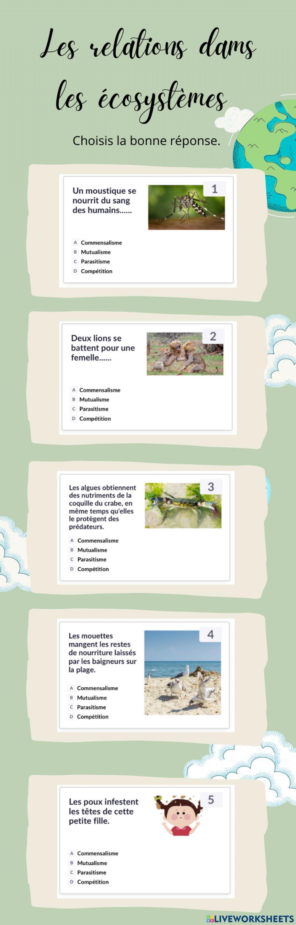 Les relations dans les ecosystèmes