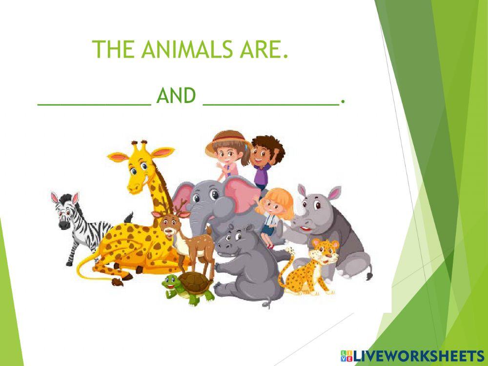 Vertebrates and invertebrates