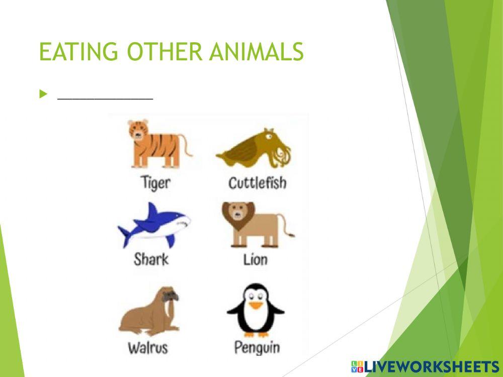 Vertebrates and invertebrates