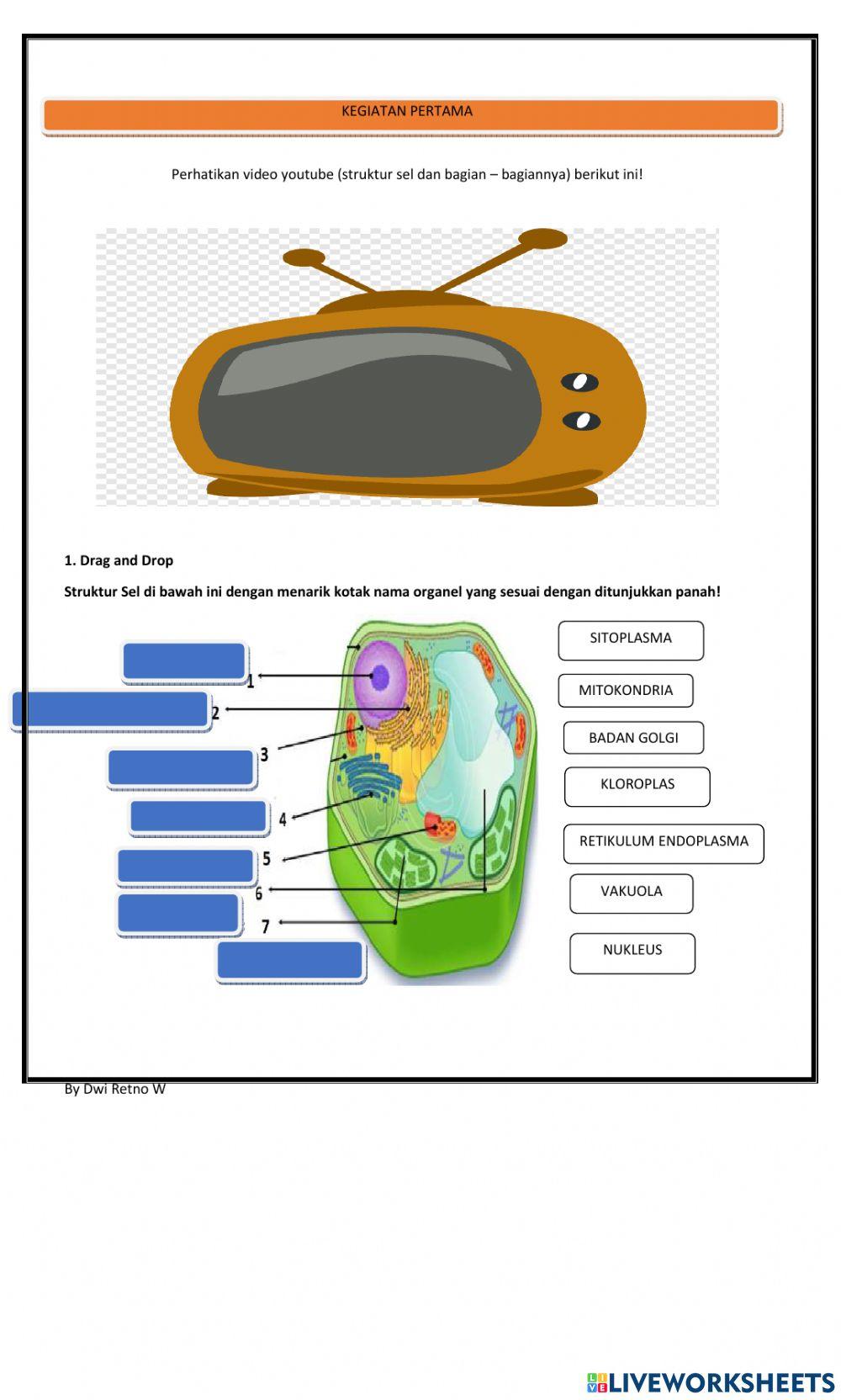 Sel Free Worksheets Sel Free Worksheets