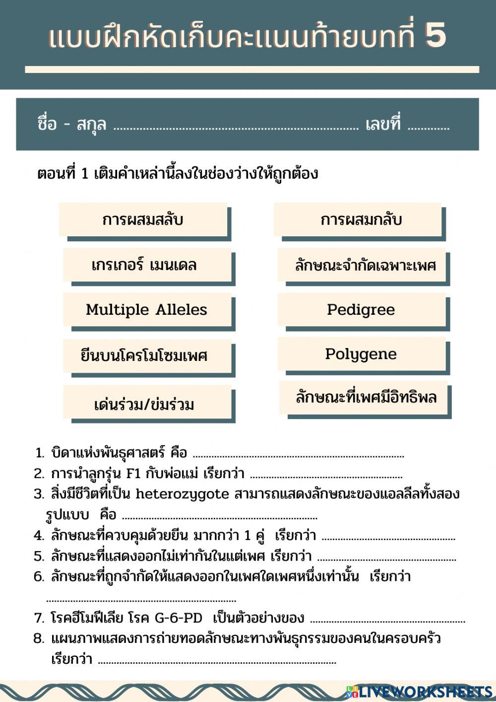 เเบบฝึกหัดบทที่ 5