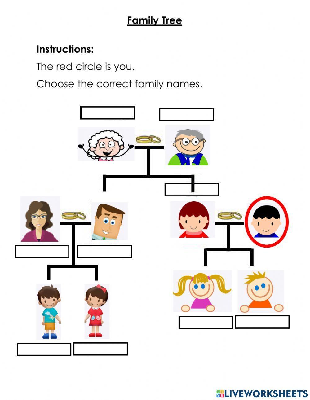 Family Tree - 11
