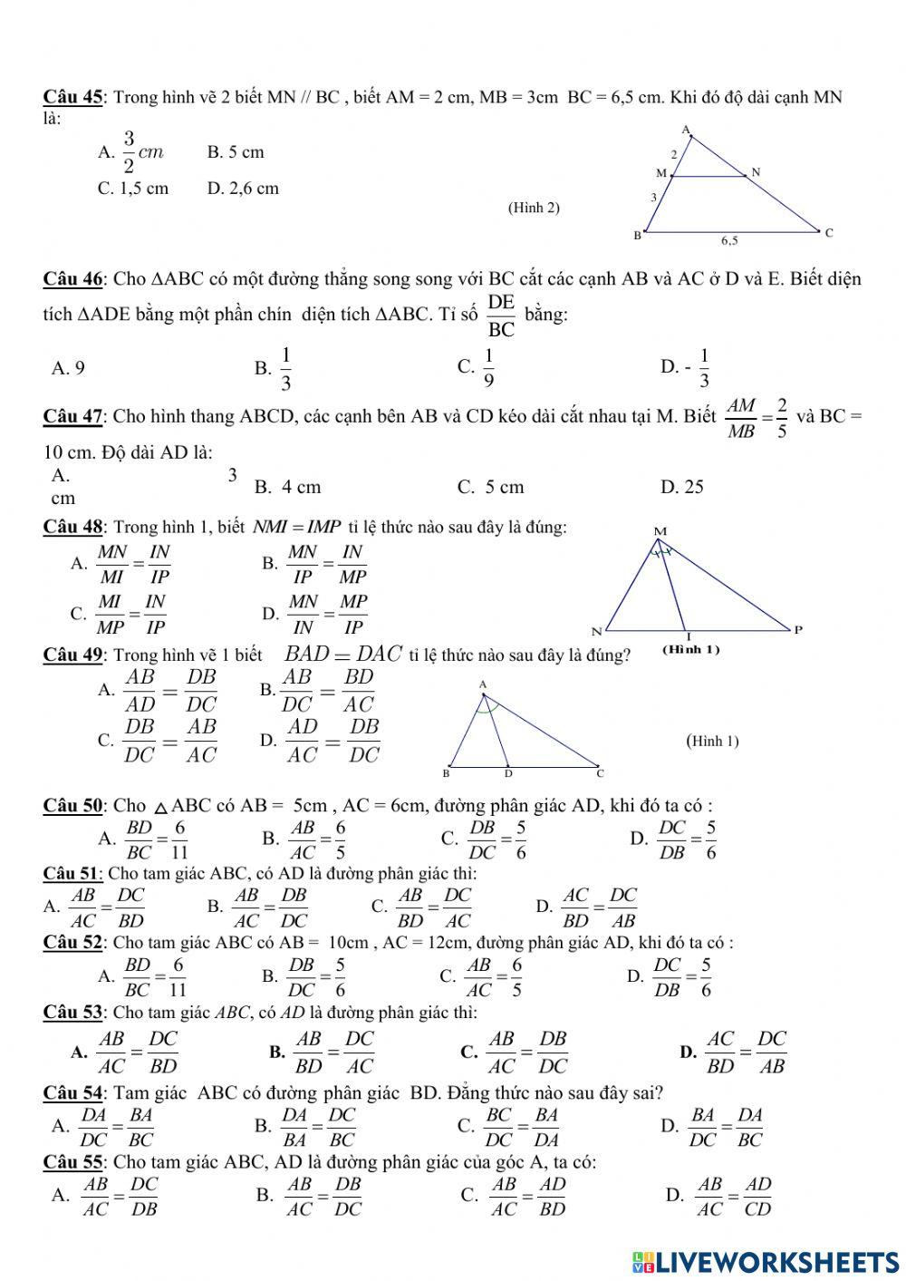 Ôn tập giữa HK2