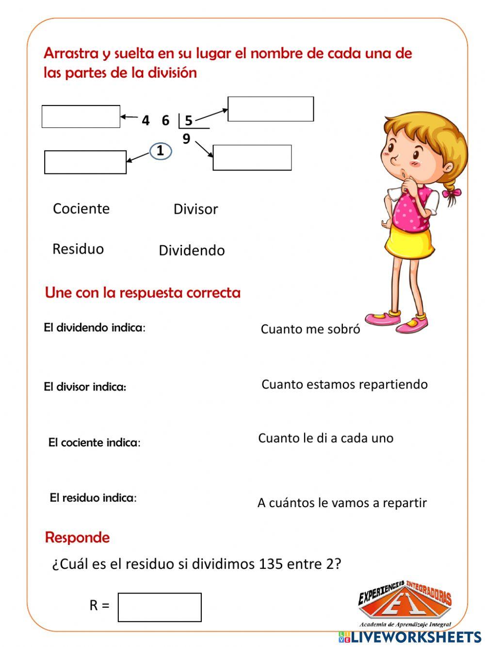Partes de la división