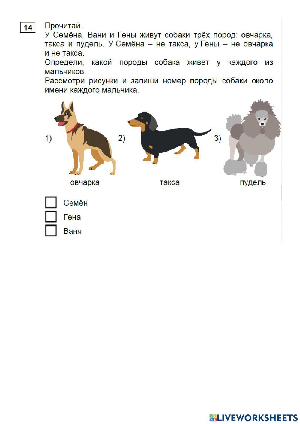 Рабочий лист