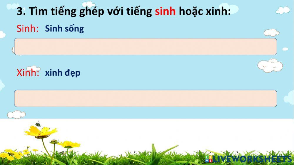 Chính tả Tuần 20