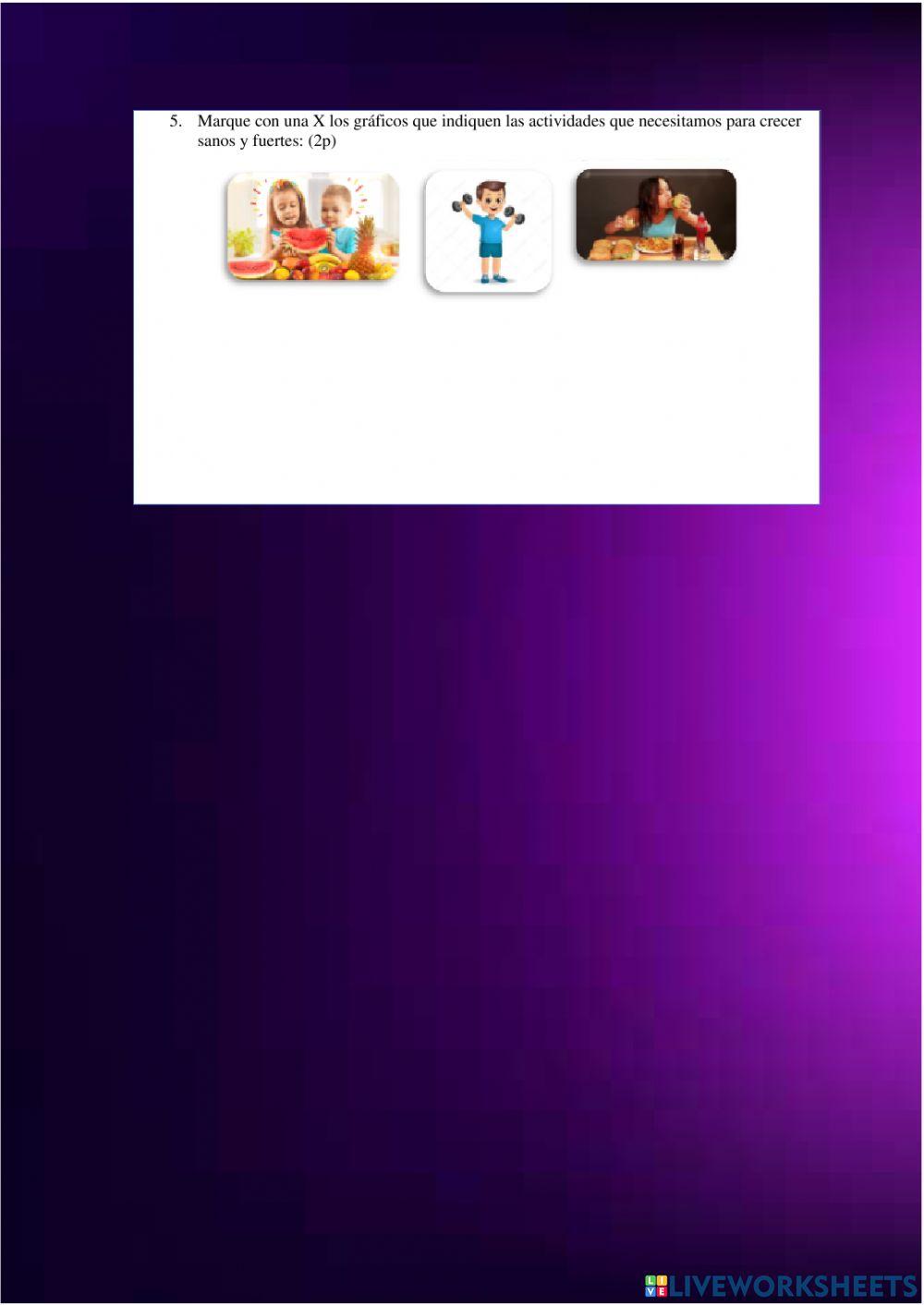 Examen quimestral ciencias naturales