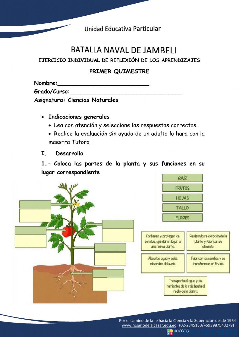 Examen de ciencias naturales Examen de ciencias naturales
