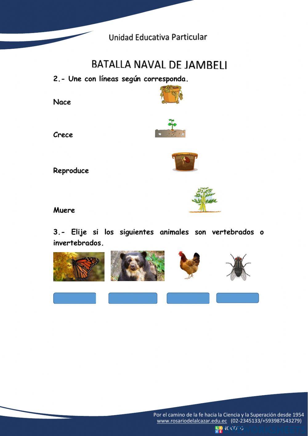 Examen de ciencias naturales Examen de ciencias naturales