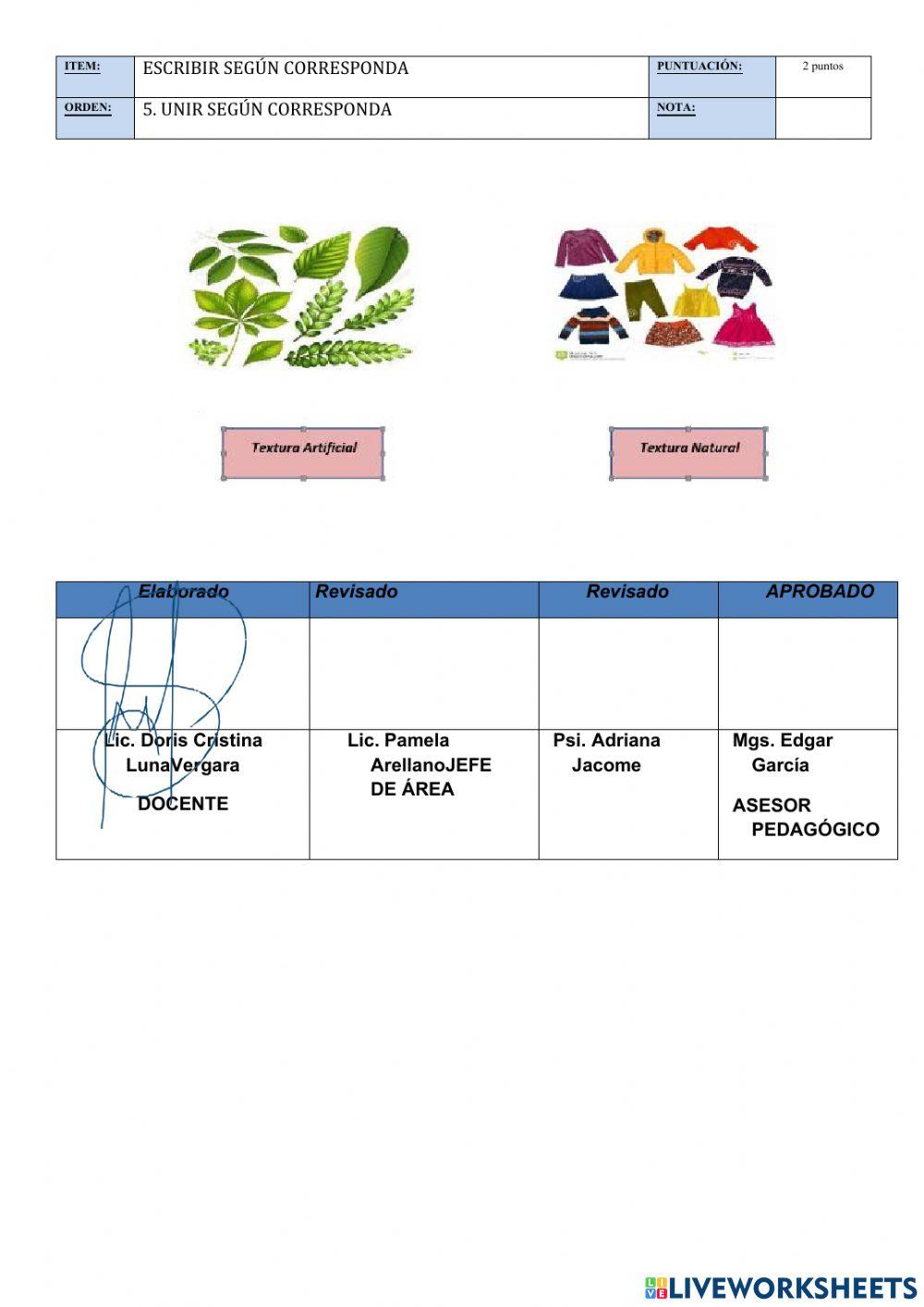 Evaluaciòn iip ii q nee